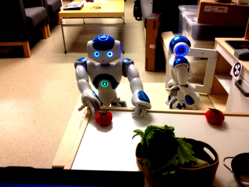 Humabot 2014