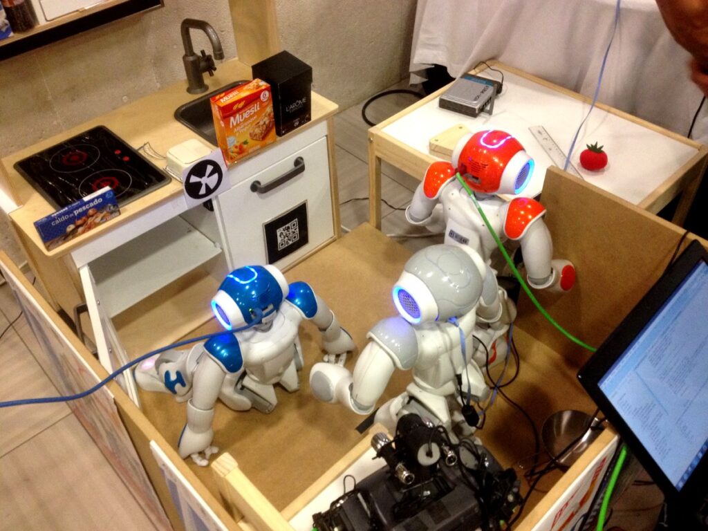 humabot_2014